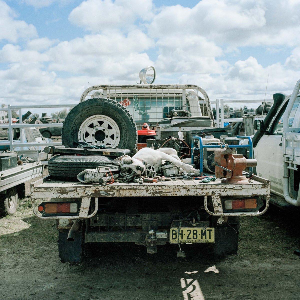 Boomi Mud Trials - photograph 9 of 16, Boomi, Australia (2017)