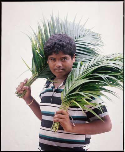 The Flower Men of Mullick Ghat - photograph 3 of 42, Kolkata, India (2018)