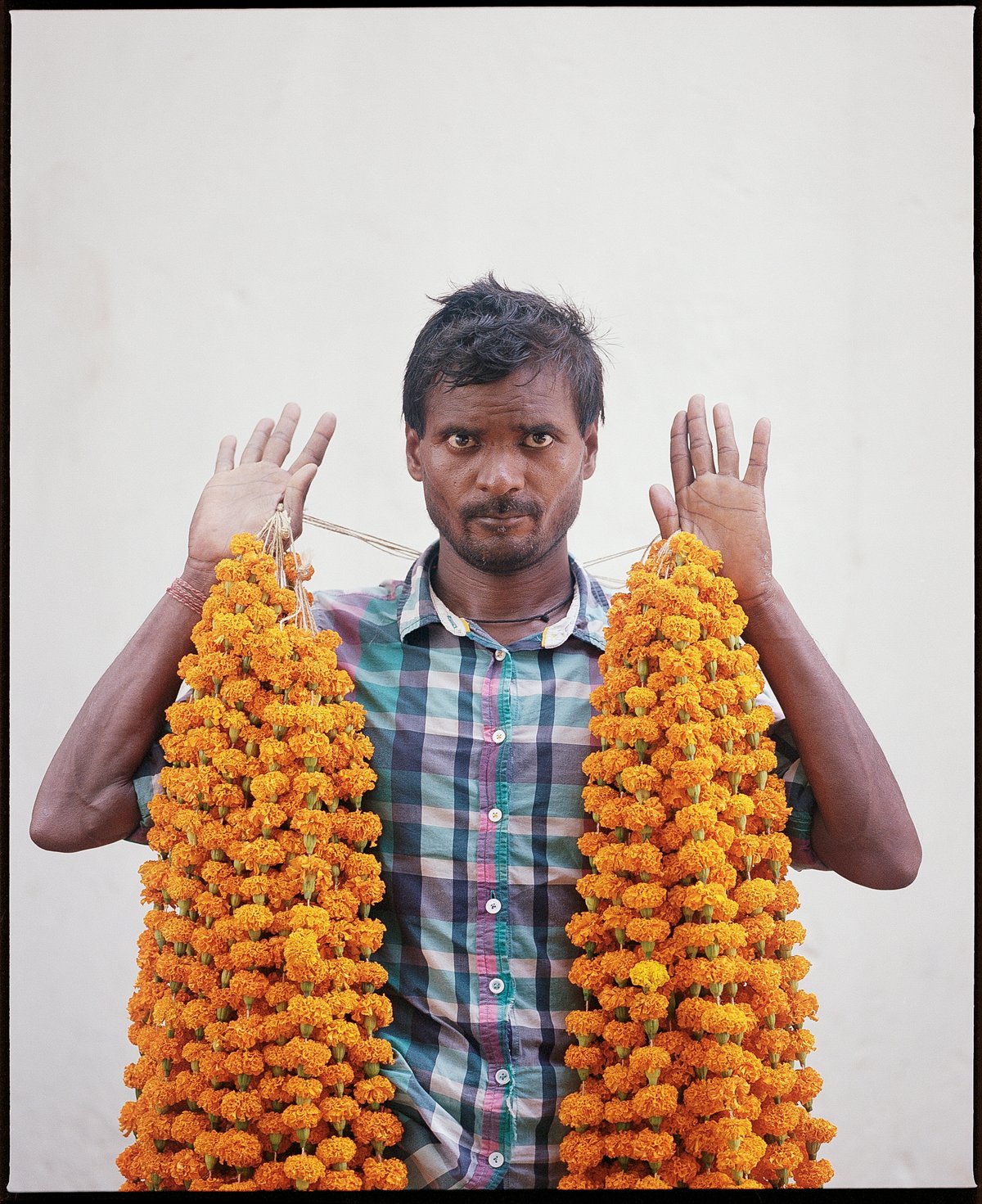 The Flower Men of Mullick Ghat - photograph 16 of 42, Kolkata, India (2018)