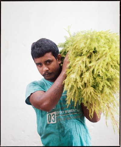 The Flower Men of Mullick Ghat - photograph 28 of 42, Kolkata, India (2018)
