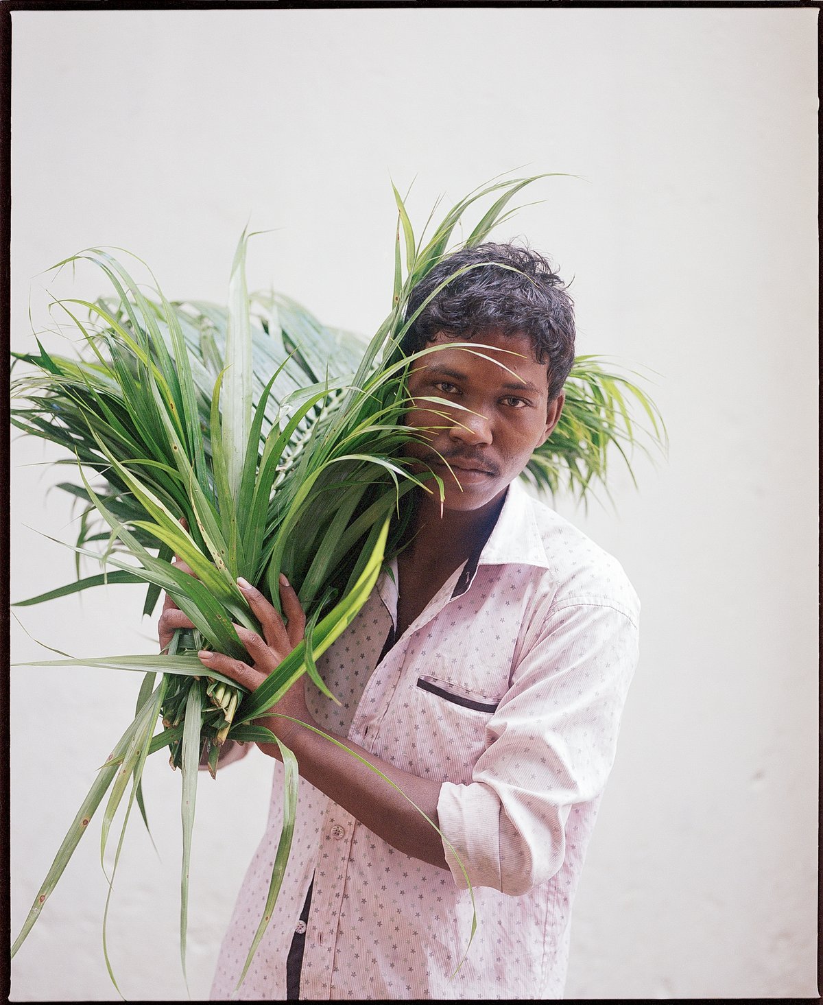 The Flower Men of Mullick Ghat - photograph 32 of 42, Kolkata, India (2018)