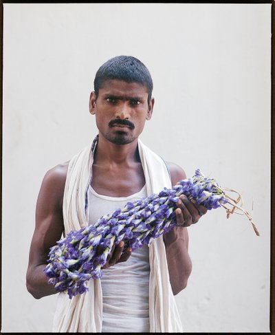 The Flower Men of Mullick Ghat - photograph 37 of 42, Kolkata, India (2018)