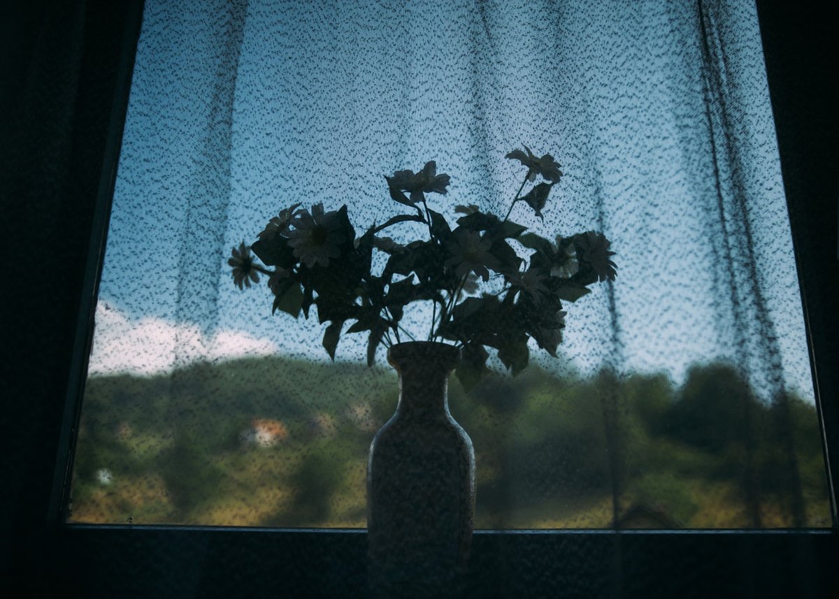I Am Sarajevan - photograph 18 of 27, Bosnia (2015)
