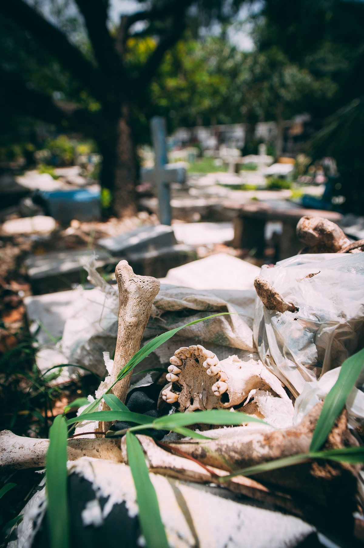 Living With The Dead - photograph 9 of 18, Cebu, Philippines (2013)
