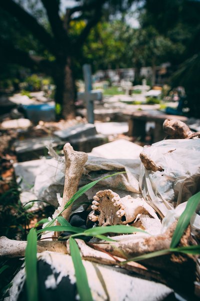 Living With The Dead - photograph 9 of 18, Cebu, Philippines (2013)
