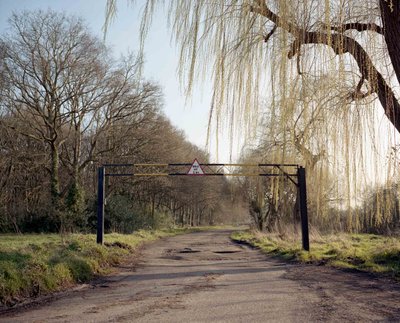 Under The Elms - photograph 8 of 12, Surrey, UK (2016)