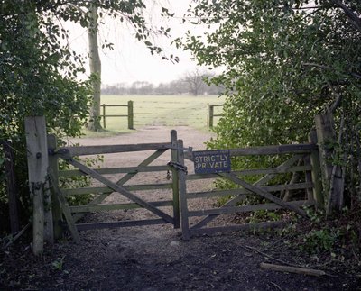 Under The Elms - photograph 11 of 12, Surrey, UK (2016)